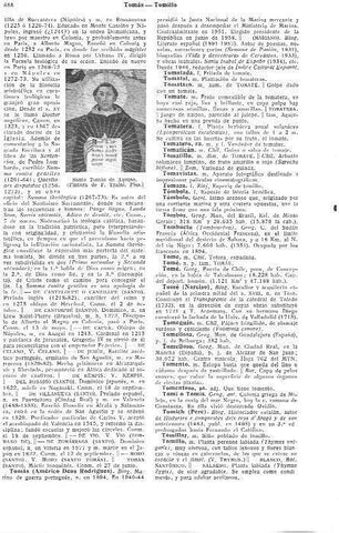 LAMINA 29107: Santo Tomas de Aquino