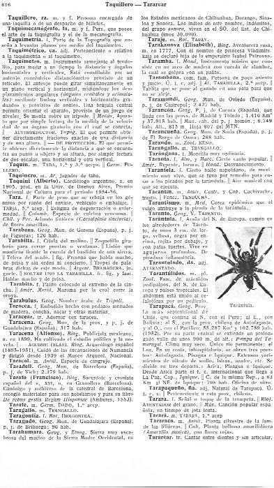 LAMINA 29073: Tarantula