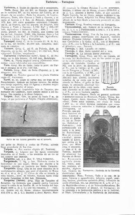 LAMINA 29076: Salto de un tarpon y escudo y catedral de Tarragona