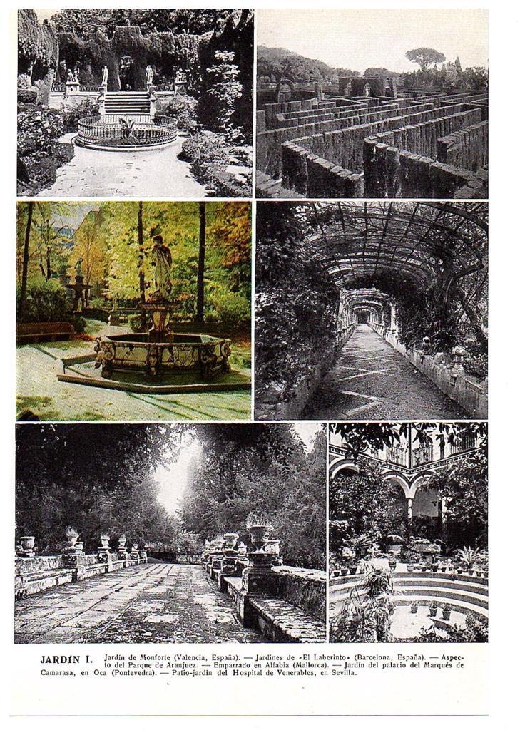 LAMINA 28461: Jardines