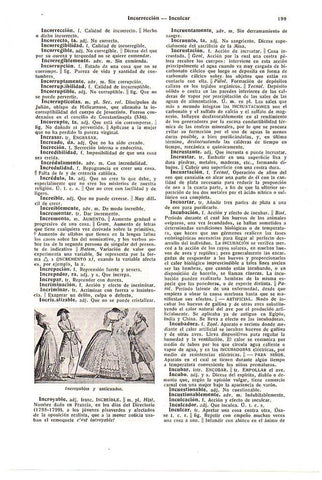 LAMINA 28505: Incroyables y anticuados