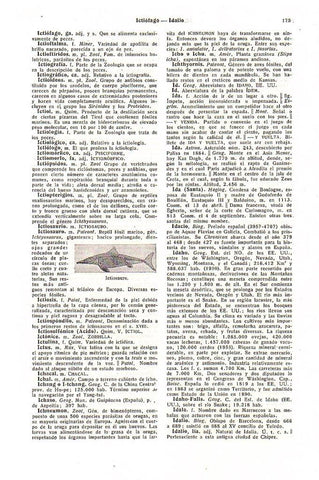 LAMINA 28516: Ictiosauro