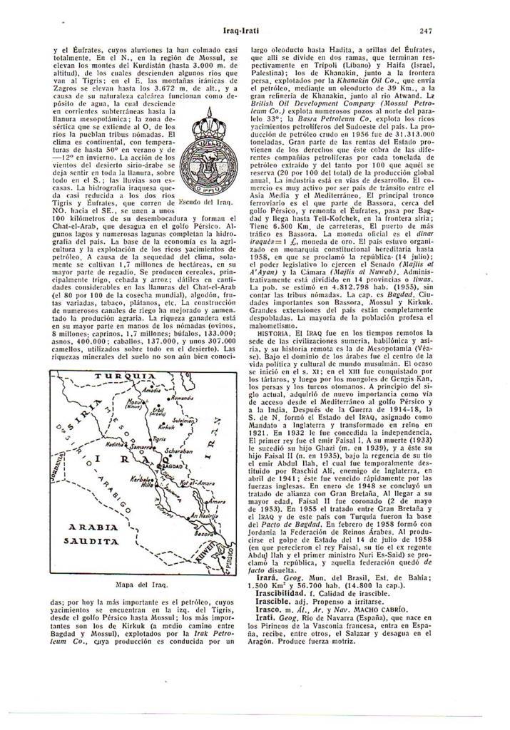LAMINA 28483: Escudo y mapa de Irak