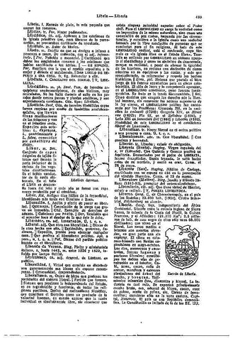 LAMINA 28382: Escudo de Liberia y Libellula depressa