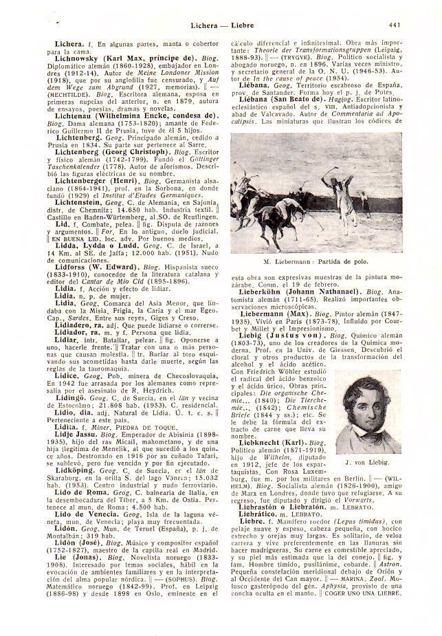 LAMINA 28381: Partida de polo, por M. Liebermann
