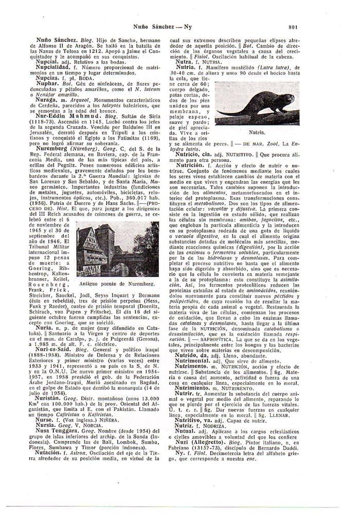LAMINA 28753: Antiguo puente de Nuremberg y nutria