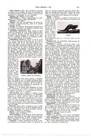 LAMINA 28753: Antiguo puente de Nuremberg y nutria
