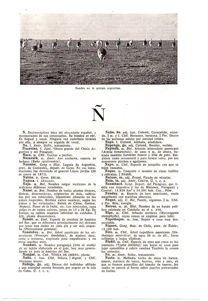 LAMINA 28754: Ñandus en Argentina