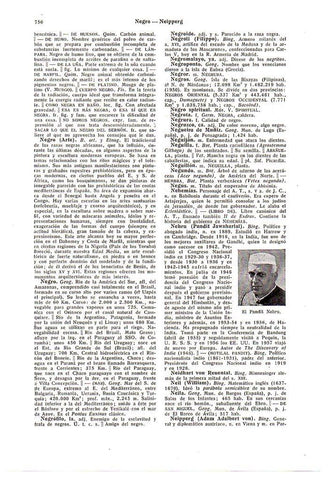 LAMINA 28733: El Pandit Nehru