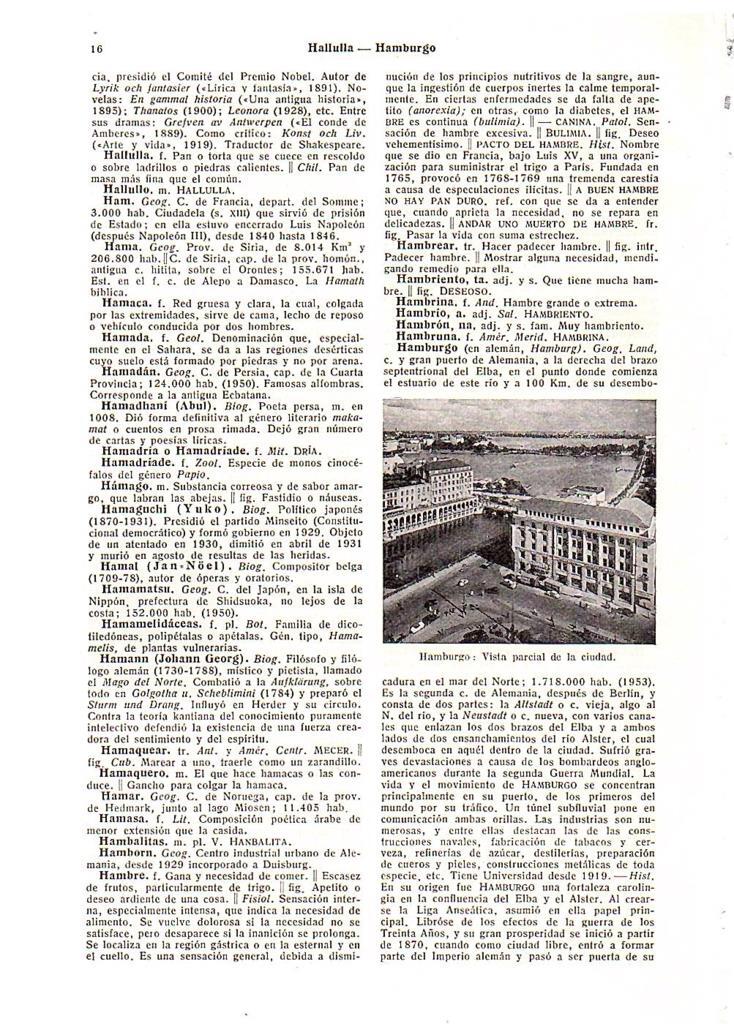 LAMINA 28582: Vista de Hamburgo