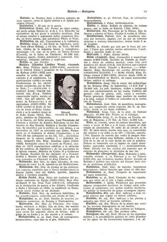 LAMINA 28583: Edward, vizconde de Halifax