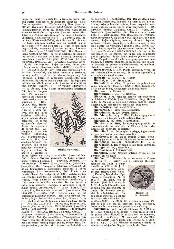 LAMINA 28553: Hierba de vibora e Hieron II de Siracusa
