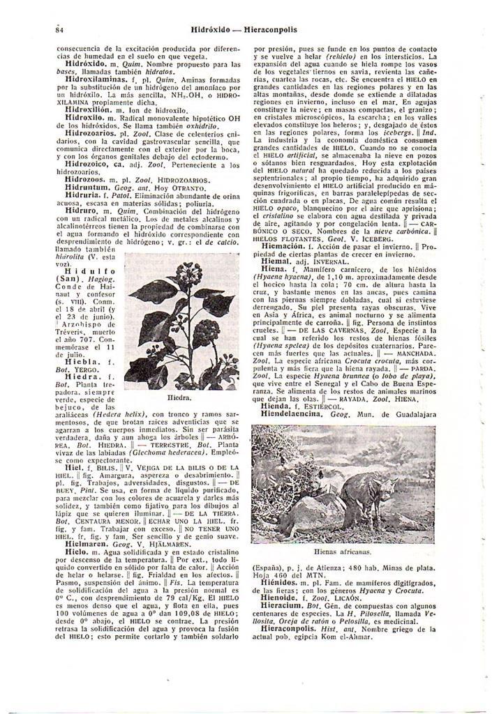 LAMINA 28554: Hiedra e hienas de Africa