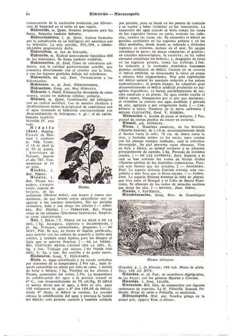 LAMINA 28554: Hiedra e hienas de Africa