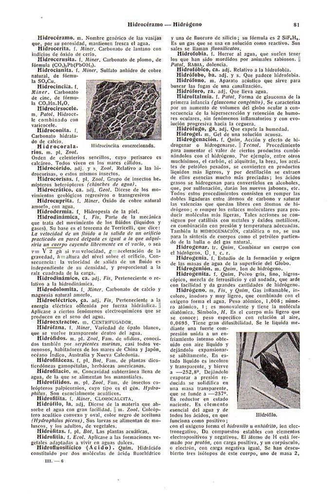 LAMINA 28555: Hidrofilo e hidrocincita concrecionada