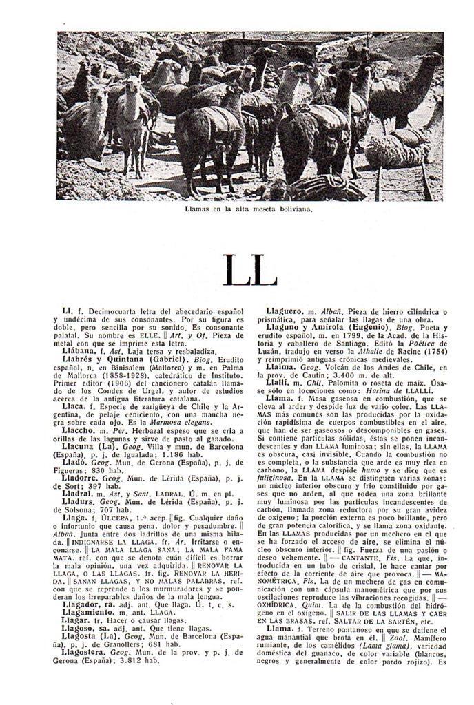 LAMINA 28605: Llamas en Bolivia