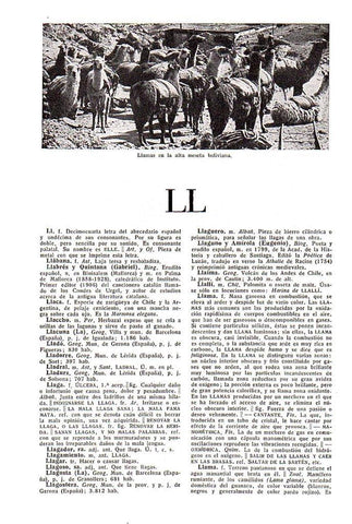 LAMINA 28605: Llamas en Bolivia