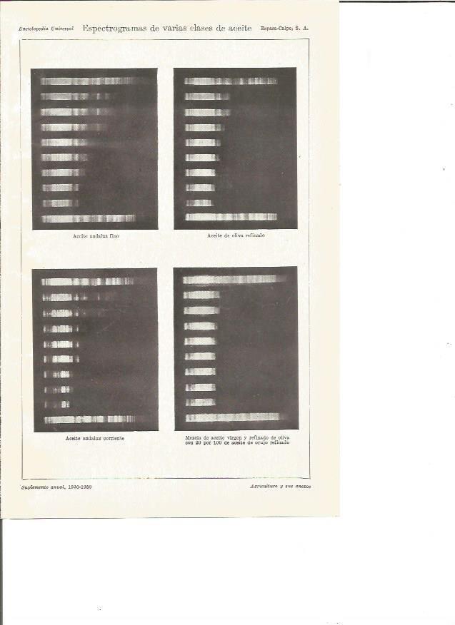 LAMINA V03599: Espectogramas de varias clases de aceite