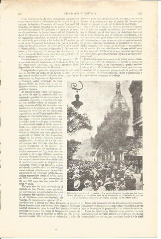 LAMINA V04154: Disturbios en Rio de Janeiro