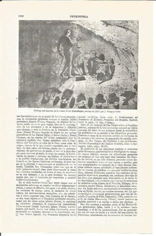 LAMINA V04090: Dibujos en cueva de los Murcielagos por J. Rivas y Ortiz