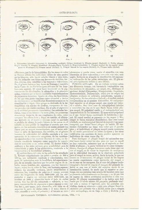 LAMINA V04102: Pliegues oculares