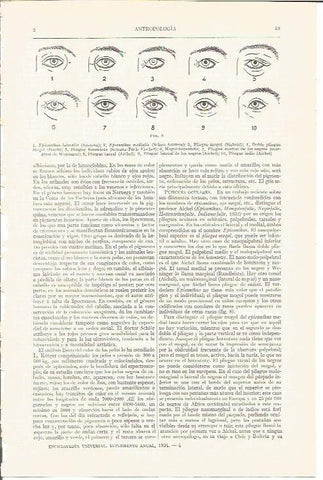 LAMINA V04102: Pliegues oculares