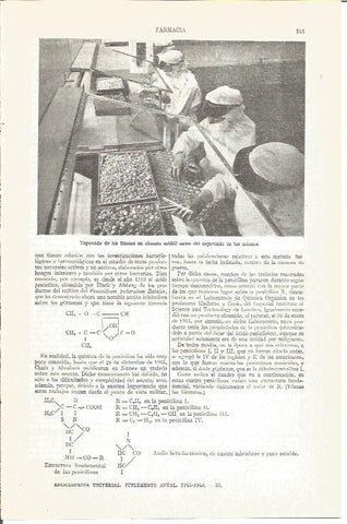 LAMINA V03926: Taponado de frascos