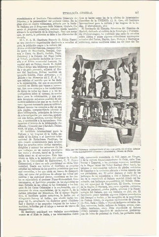 LAMINA V03919: Silla real del Dahomey