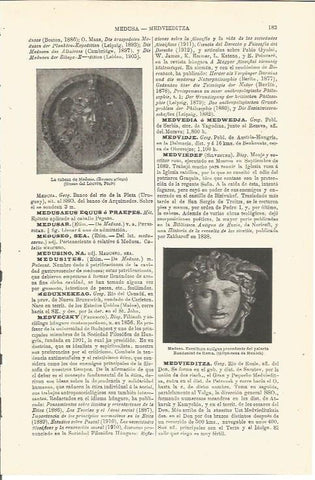 LAMINA V03229: Bronce griego y escultura de la cabeza de Medusa