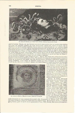 LAMINA V03228: La cabeza de Medusa por Rubens