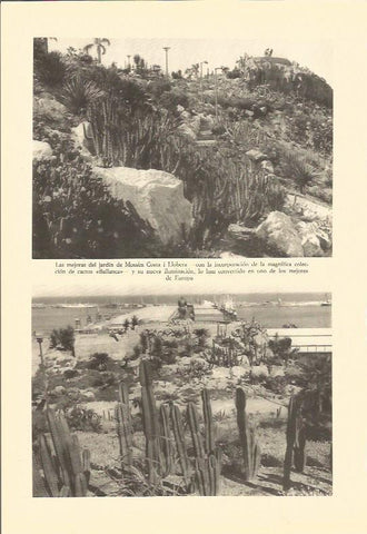 LAMINA V02923: Mejoras del jardin Mossen Costa i Llobera