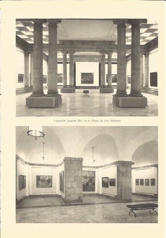 LAMINA V02922: Exposicion Joaquim Mir
