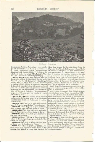 LAMINA V03241: Vista general de Meiringen, Suiza