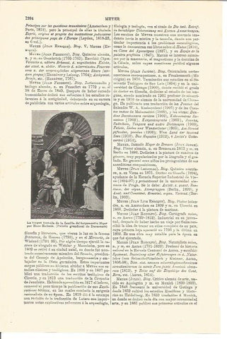 LAMINA V03463: La Virgen por Hans Holbein
