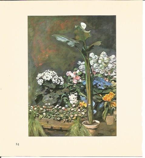 LAMINA V03478: Arums et plantes de serre por Renoir