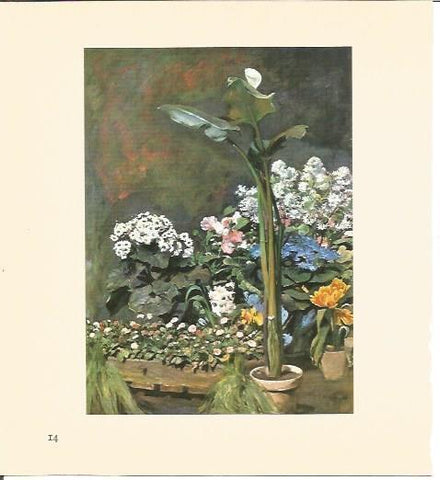LAMINA V03478: Arums et plantes de serre por Renoir