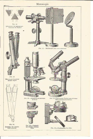 LAMINA V03474: Tipos de microscopios