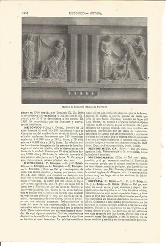 LAMINA V03444: Metopa de Selinonte