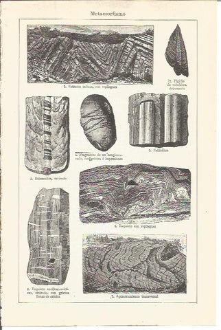 LAMINA V03436: Metamorfismo