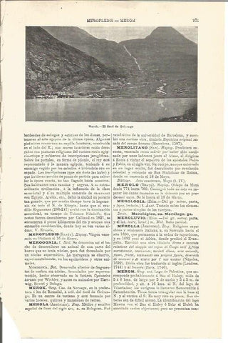LAMINA V03399: Fiord de Geirange, Noruega