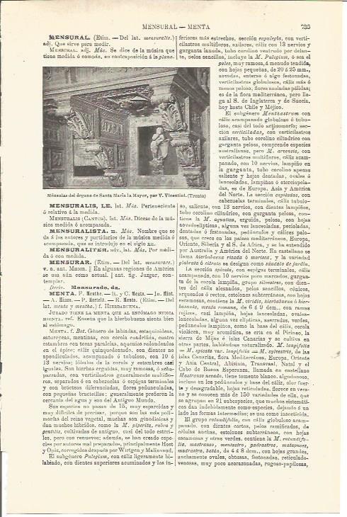 LAMINA V03344: Mensulas por V. Vicentini