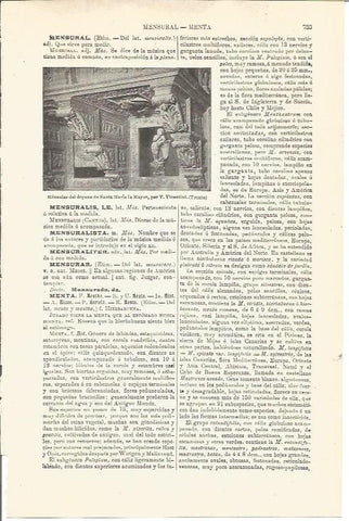 LAMINA V03344: Mensulas por V. Vicentini