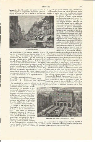 LAMINA V03362: Mercados de Berna y Castellon de la Plana