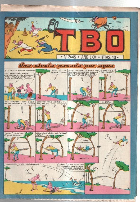 TBO 2000 numero  2445: Una siesta pasada por agua (Coll)