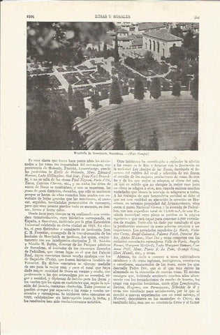 LAMINA V05140: Rosaleda de Montjuich, Barcelona