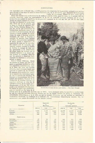 LAMINA V05154: Recoleccion de maiz hibrido