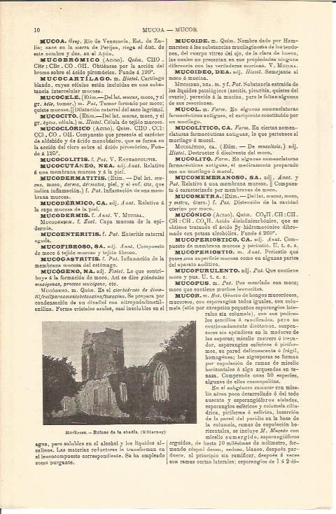 LAMINA V04469: Abadia de Muckross en Killarney, Irlanda