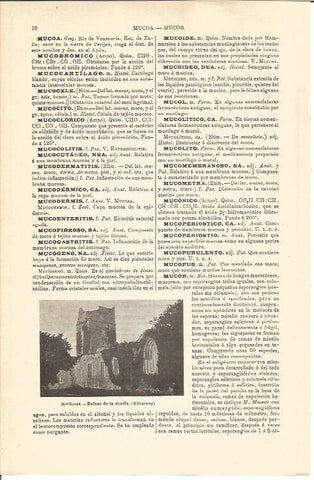 LAMINA V04469: Abadia de Muckross en Killarney, Irlanda
