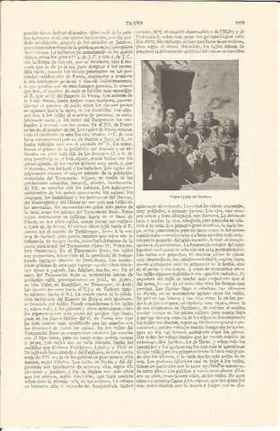 LAMINA V04450: Tipos Tajiks de Darwaz