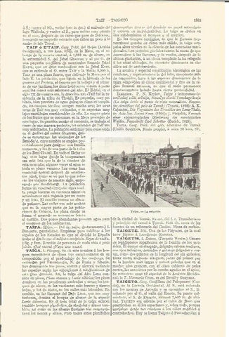 LAMINA V04445: Estacion de Taiga